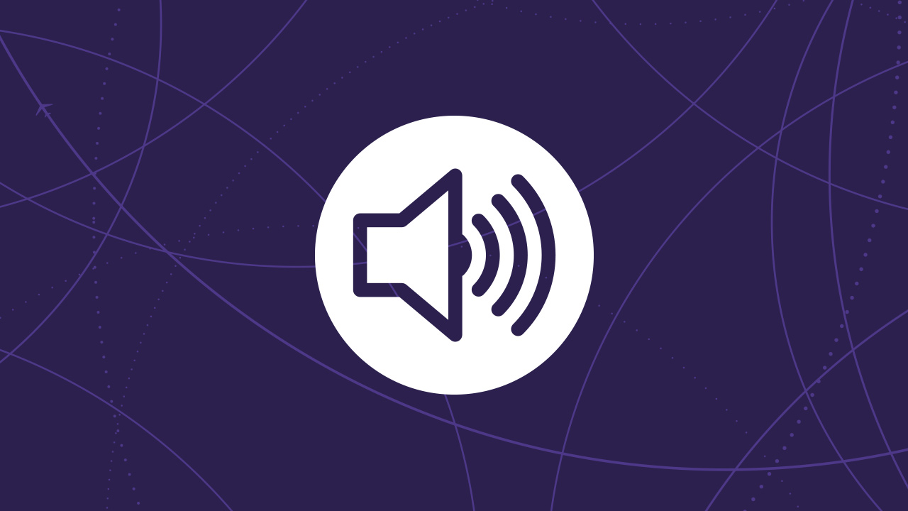 Speaker icon